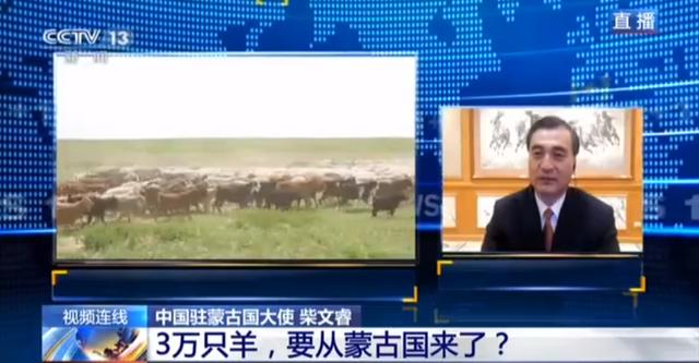 蒙古國(guó)送的3萬(wàn)只羊會(huì)變成羊肉 吃貨網(wǎng)友：準(zhǔn)備好了(圖2)